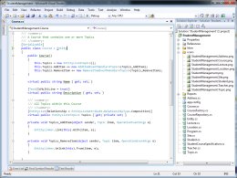 TrueView uses simple POCO-style classes